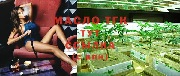 шишки Осташков