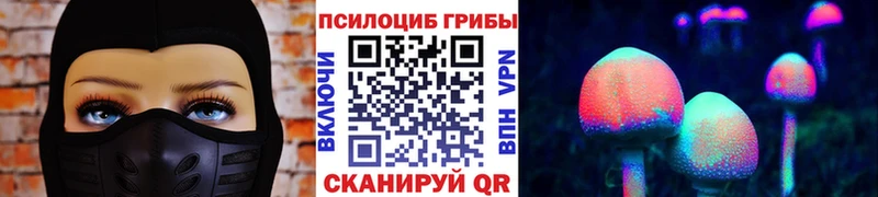Псилоцибиновые грибы мицелий  что такое наркотик  Рыльск 